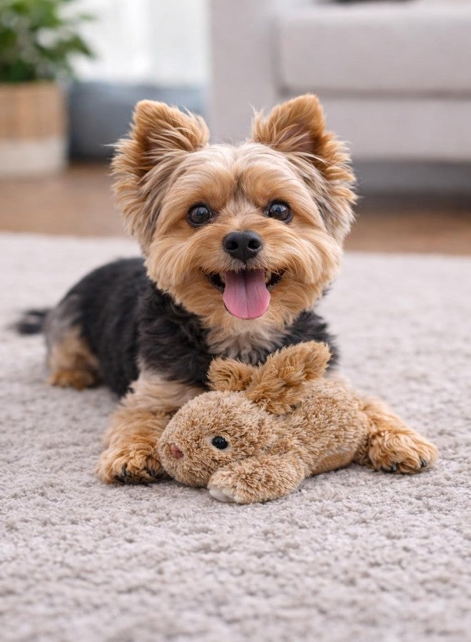 Multipet Rabbit Dog Toy w/Squeaker | Thumperz Dog Toy | Stuffed Bunny Toy for Dogs | Plush Squeaker Bunnies Dogs Toy | Small/Medium Breed (Tan/Brown, 6") - Image 5